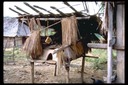 Chicken coop, Bua Chan, Thailand, 1986