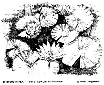 lotus2
